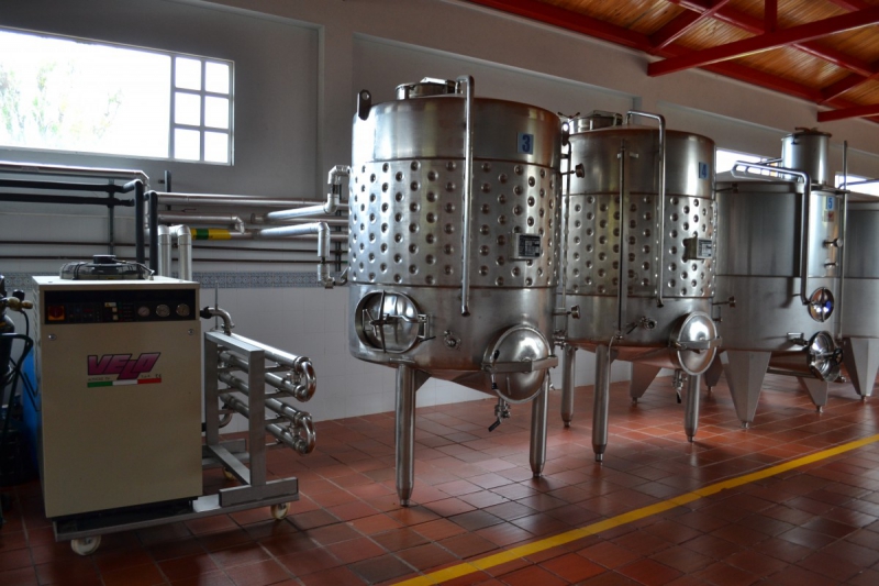 cave-PEILLE-min_wine_production_cantine_winery_drink_alcohol_vine_beverage-902036